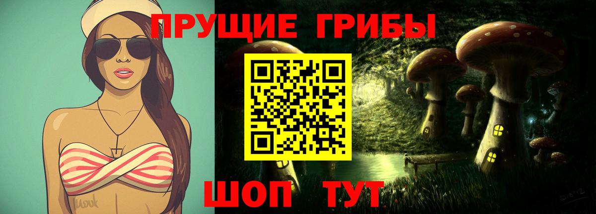 где купить наркоту  Галлюциногенные грибы мицелий  Псилоцибиновые грибы мухоморы  Вход с VPN  Медногорск 